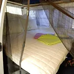Van Experience